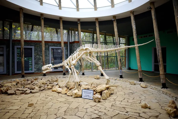 Gürcistan'daki dinozor iskeleti