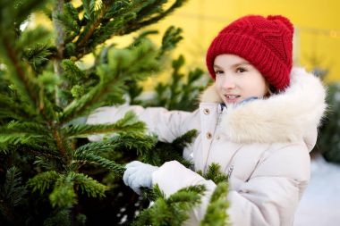 Noel pazarı küçük kıza