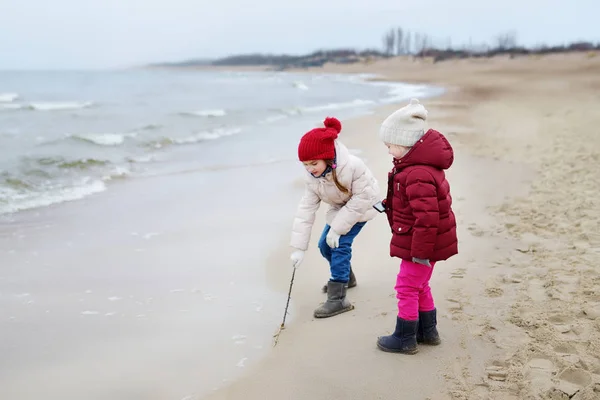 可爱的小姐妹在冬季海滩 — 图库照片