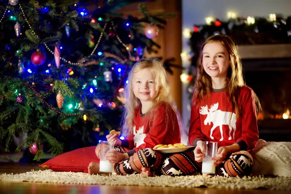 Petites sœurs au lait et biscuits à Noël — Photo