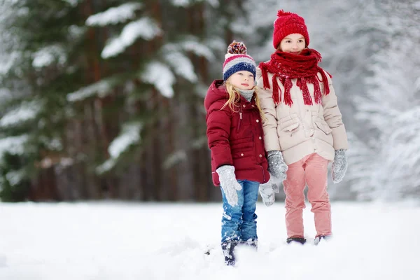 Niñas en el parque de invierno — Foto de Stock