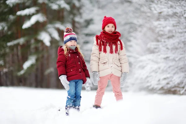 Hermosas hermanas jugando en la nieve . — Foto de Stock