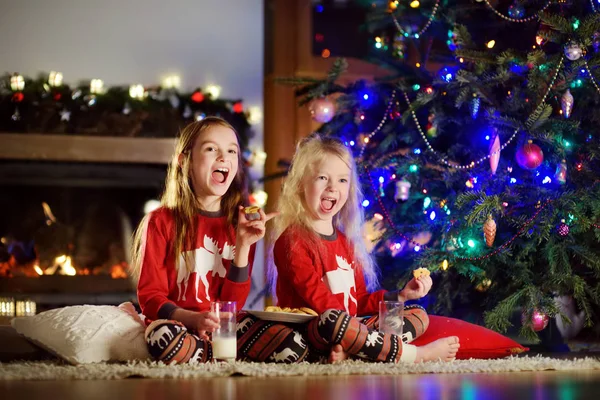 Soeurs ayant du lait et des biscuits à Noël — Photo