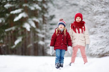 küçük kızlar kış parkta birlikte eğleniyor. 