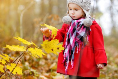 sonbahar parkta oynayan çocuk. 