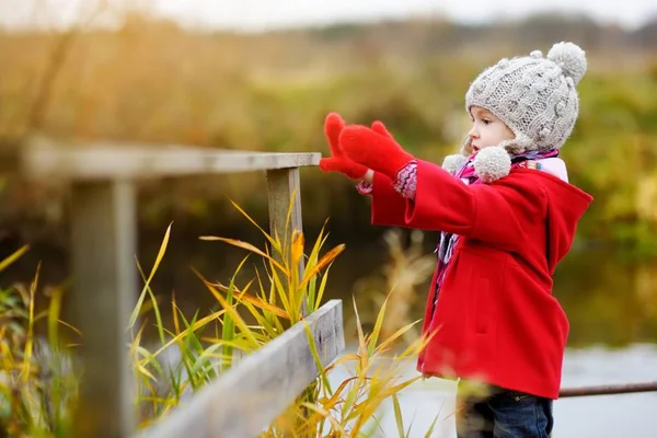 Kind spelen in herfst park. — Stockfoto