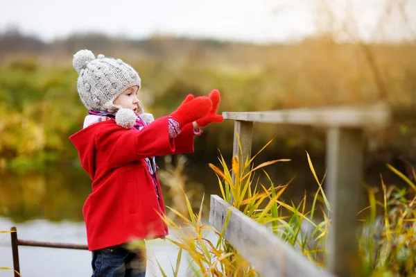 Niño jugando en el parque de otoño . — Foto de Stock