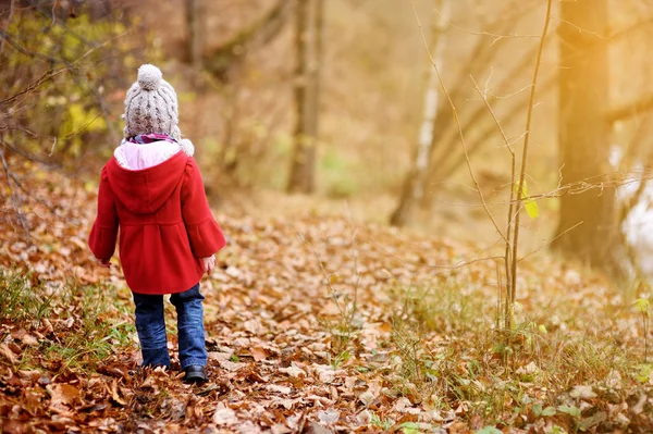 Dziecko grając w parku jesień. — Zdjęcie stockowe