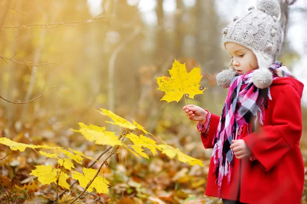 Kind spielt im Herbstpark. — Stockfoto