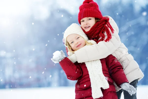 Zusters spelen in een sneeuw. — Stockfoto