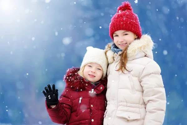 Zusters spelen in een sneeuw. — Stockfoto