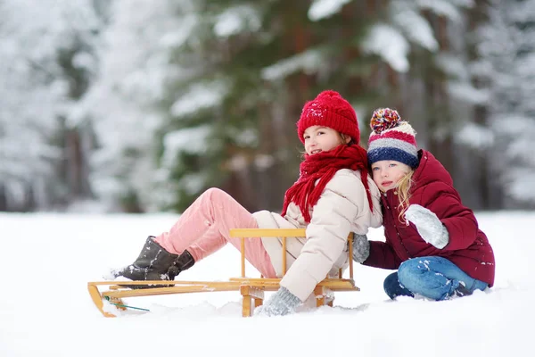 Little girls having fun with a sleight — Stock Photo, Image