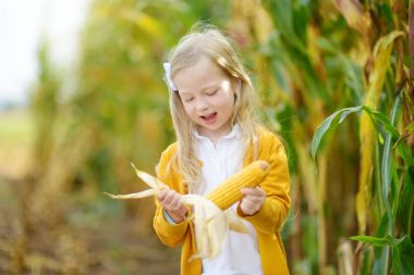 küçük kız Mısır alanında tutarak