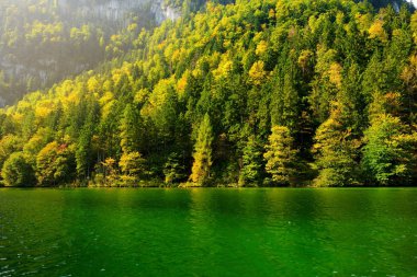 Konigssee Almanya'nın yeşil su