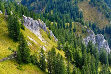 Bavyera Alpleri'nde Ammergau