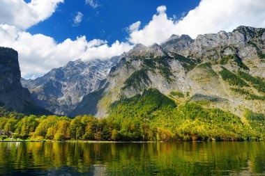 Konigssee Almanya'nın yeşil su