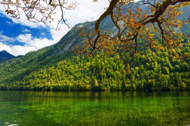 Konigssee Almanya'nın yeşil su