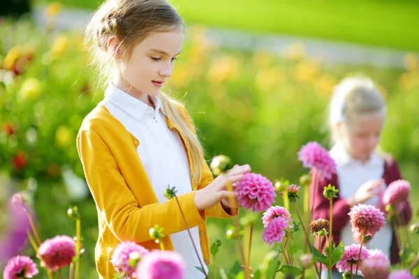 Liten flicka du beundrar blommorna — Stockfoto