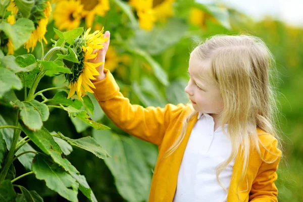 Kleines Mädchen bewundert Sonnenblumen — Stockfoto