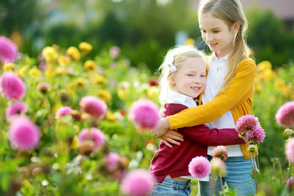 Małe siostry w kwitnących Dalia pola — Zdjęcie stockowe