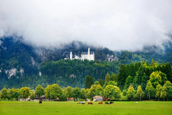 Castelo de Neuschwanstein famoso — Fotografia de Stock