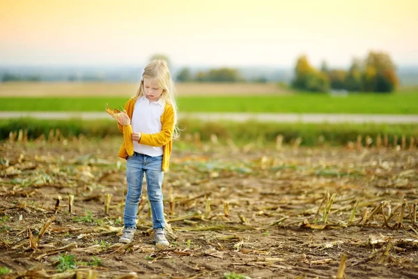 Malá holčička drží kukuřice v poli — Stock fotografie