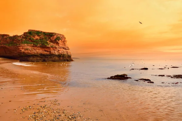 Grès rouge impressionnant de Ladram Bay — Photo