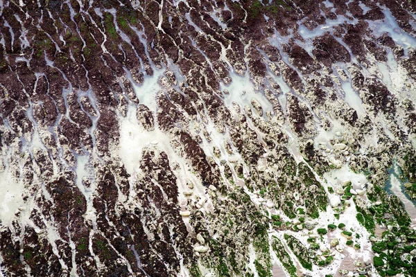 Skalnatá pláž pod Bílé křídové útesy sedm sester v Birling Gap pobřeží, Eastbourne East Sussex — Stock fotografie