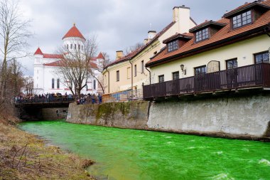 insanlar kutluyor St Patricks Günü 