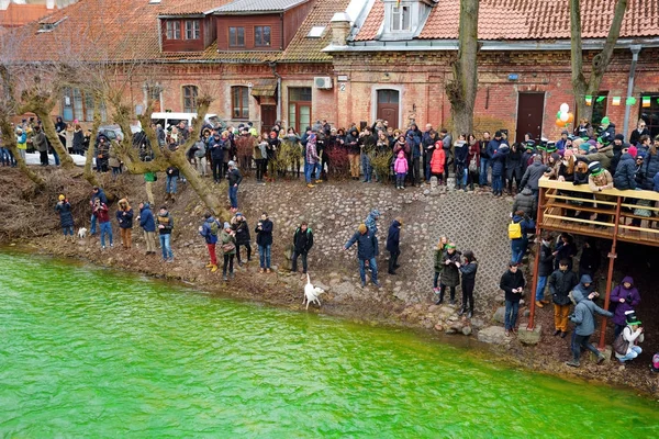 insanlar kutluyor St Patricks Günü 