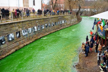 insanlar kutluyor St Patricks Günü 