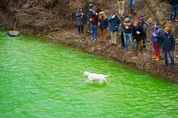 Människor firar St. Patricks day — Stockfoto