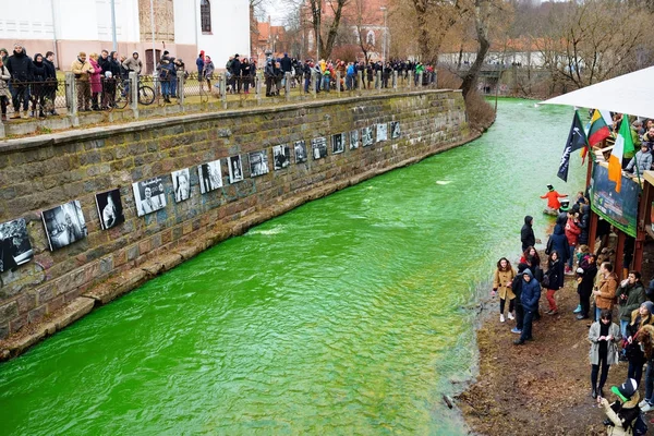 People celebrating St. Patricks day — Stock Photo, Image