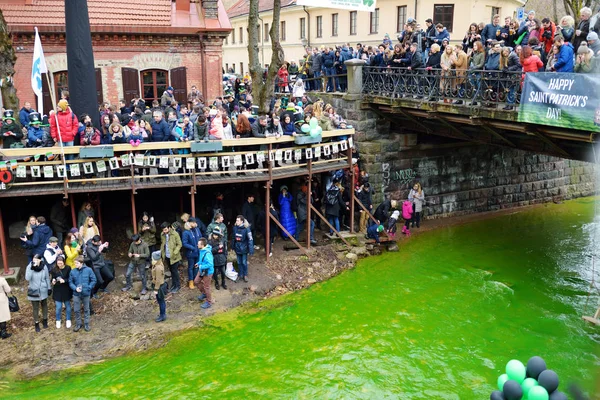 insanlar kutluyor St Patricks Günü 