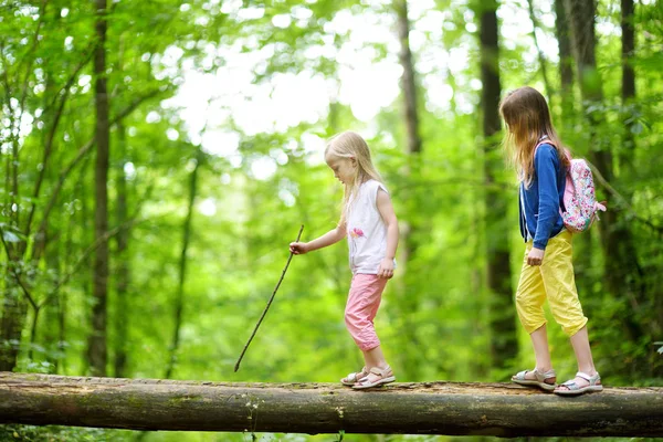 Two Cute Little Sisters Having Fun Forest Hike Beautiful Summer — Stock Photo, Image