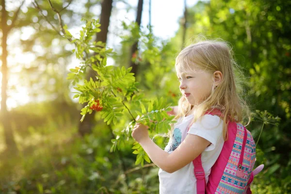 Linda Niña Divirtiéndose Durante Caminata Por Bosque Hermoso Día Verano — Foto de Stock