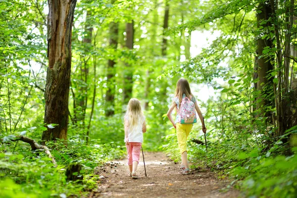 Zwei Süße Kleine Schwestern Die Sich Bei Einer Waldwanderung Einem — Stockfoto