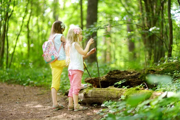 两个可爱的小妹妹在美丽的夏日森林远足时玩得很开心 活跃的家庭休闲与孩子 家庭娱乐 — 图库照片