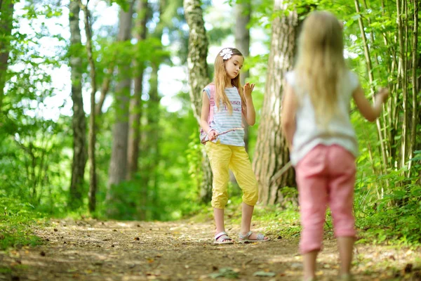 Deux Jolies Petites Sœurs Qui Amusent Lors Une Randonnée Forêt — Photo