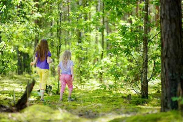 Duas Irmãs Bonitinhas Divertindo Durante Caminhada Floresta Belo Dia Verão — Fotografia de Stock