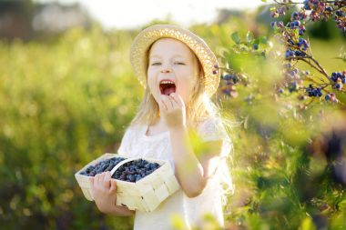 Sevimli küçük kız taze malzeme çekme organik blueberry çiftlik üzerinde sıcak ve güneşli yaz günü çilek. Küçük çocuklar için taze sağlıklı organik gıda.