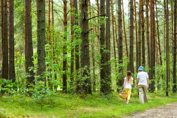 Schattig Klein Meisje Wandelen Een Bos Met Haar Grootmoeder Een — Stockfoto