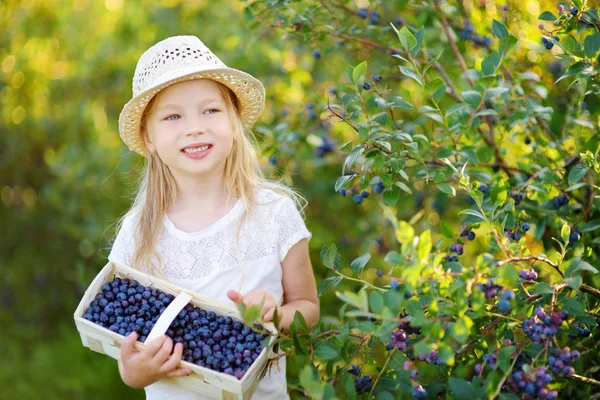 Gadis Kecil Yang Lucu Memetik Buah Beri Segar Pertanian Blueberry — Stok Foto