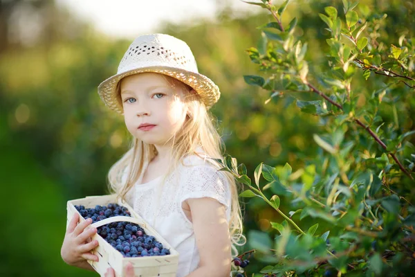 Χαριτωμένο Μικρό Κορίτσι Επιλέγοντας Φρέσκα Μούρα Αγρόκτημα Του Μύρτιλλου Στο — Φωτογραφία Αρχείου