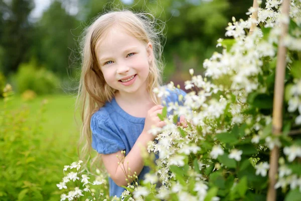 Adorabile Bambina Che Ammira Fiori Abeliofillo Giardino Fioritura Cespuglio Giardino — Foto Stock