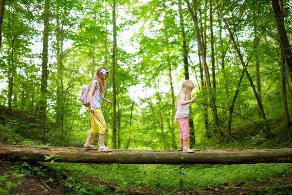 两个可爱的小妹妹在美丽的夏日森林远足时玩得很开心 活跃的家庭休闲与孩子 家庭娱乐 — 图库照片