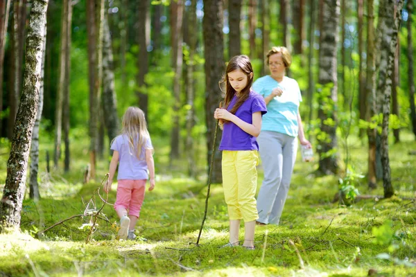 Dwa Śliczne Małe Siostry Wędrówki Lesie Ich Babcia Piękny Letni — Zdjęcie stockowe