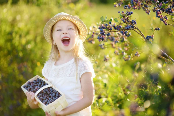 Linda Niña Recogiendo Bayas Frescas Granja Arándanos Orgánicos Día Verano —  Fotos de Stock