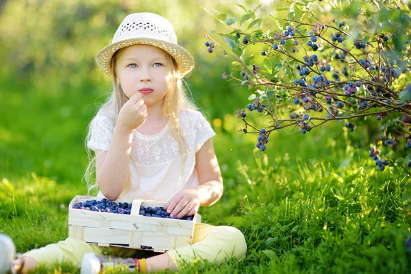 Linda Niña Recogiendo Bayas Frescas Granja Arándanos Orgánicos Día Verano —  Fotos de Stock