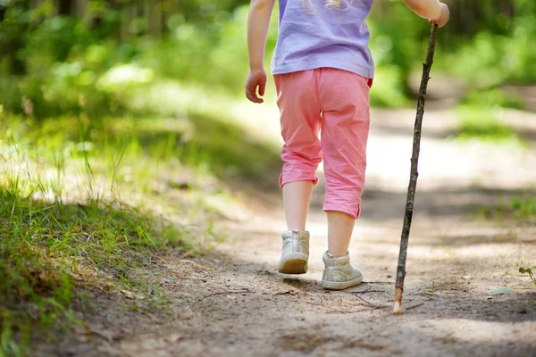 Cute Little Girl Having Fun Forest Hike Beautiful Summer Day — Stock Photo, Image